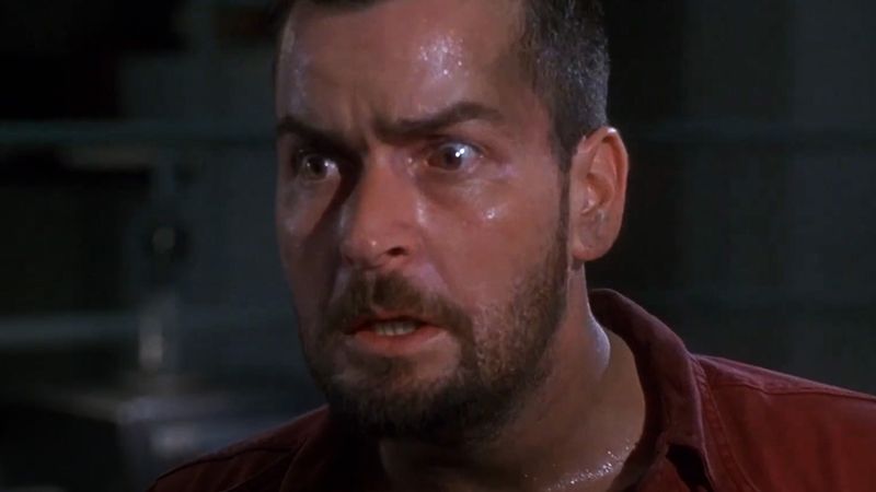 The Arrival (1996)