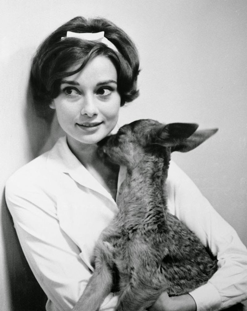 Audrey Hepburn's Pet Deer Pippin