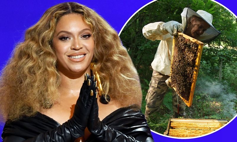 Beyonce Keeps Beehives at Home