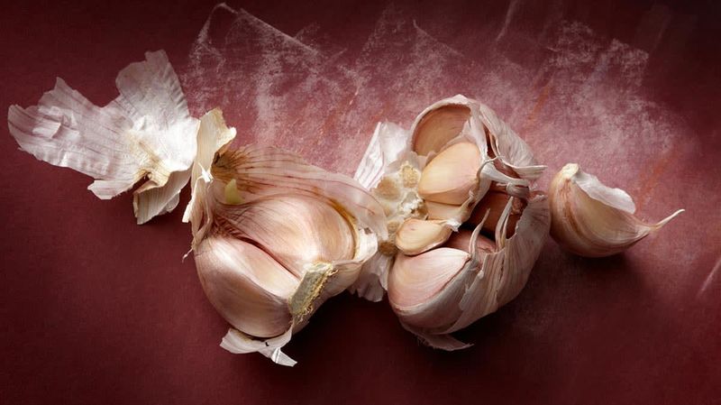 Garlic