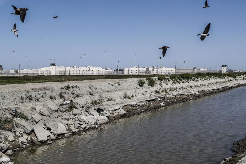 Corcoran State Prison: Catching and Cooking a Seagull