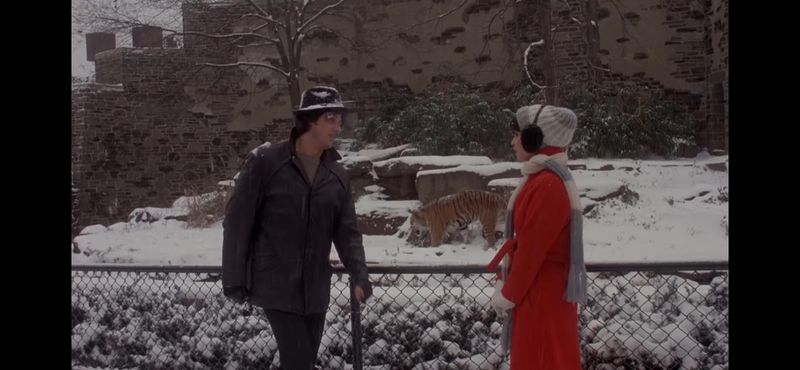Rocky II: Rocky Proposes to Adrian at the Philadelphia Zoo