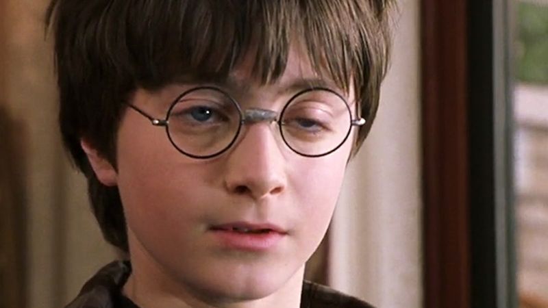 Was Hogwarts Just a Hallucination in Harry's Mind?