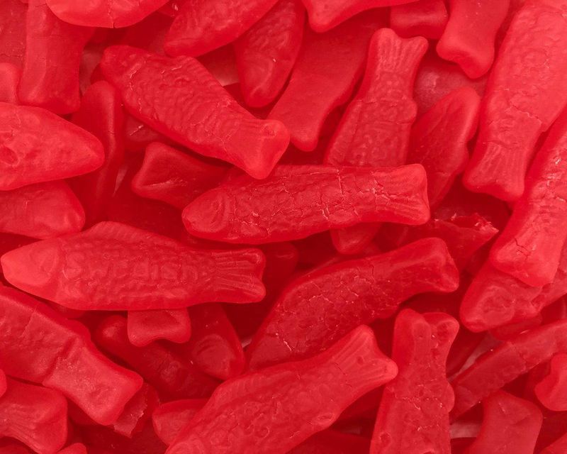 Willy Wonka's Guppies
