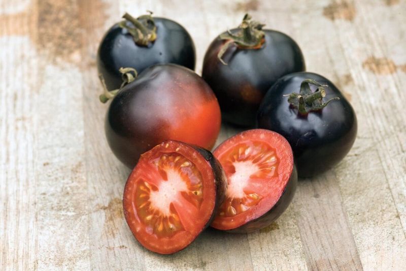 Black Tomato (Indigo Rose)