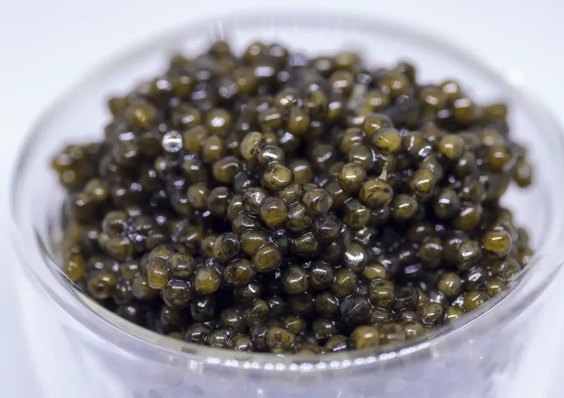 Beluga Caviar