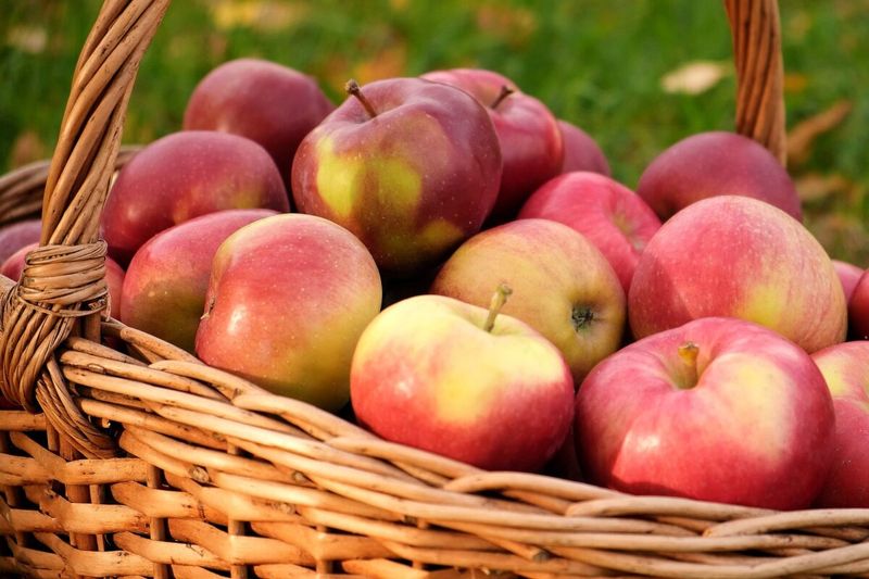 Crisp Apples