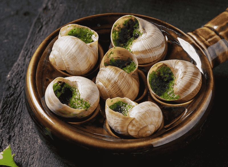 Escargot