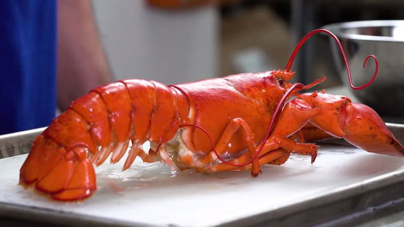 Whole Lobster