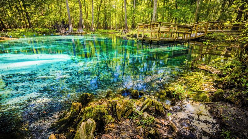 High Springs, Florida: Clear Water and Small-Town Ease
