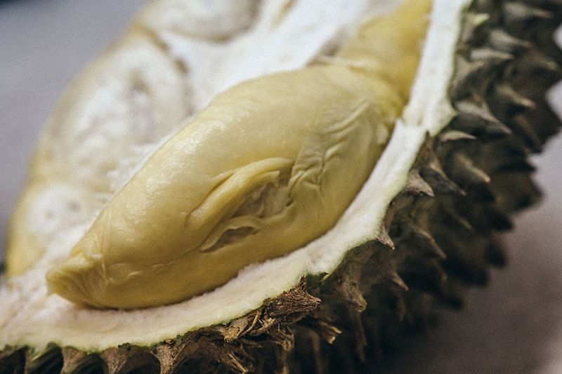 Durian, the King of Stink
