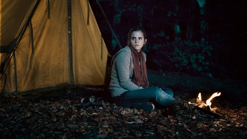 Harry Potter and the Deathly Hallows - Part 1 (2010): A Journey That Needs Patience