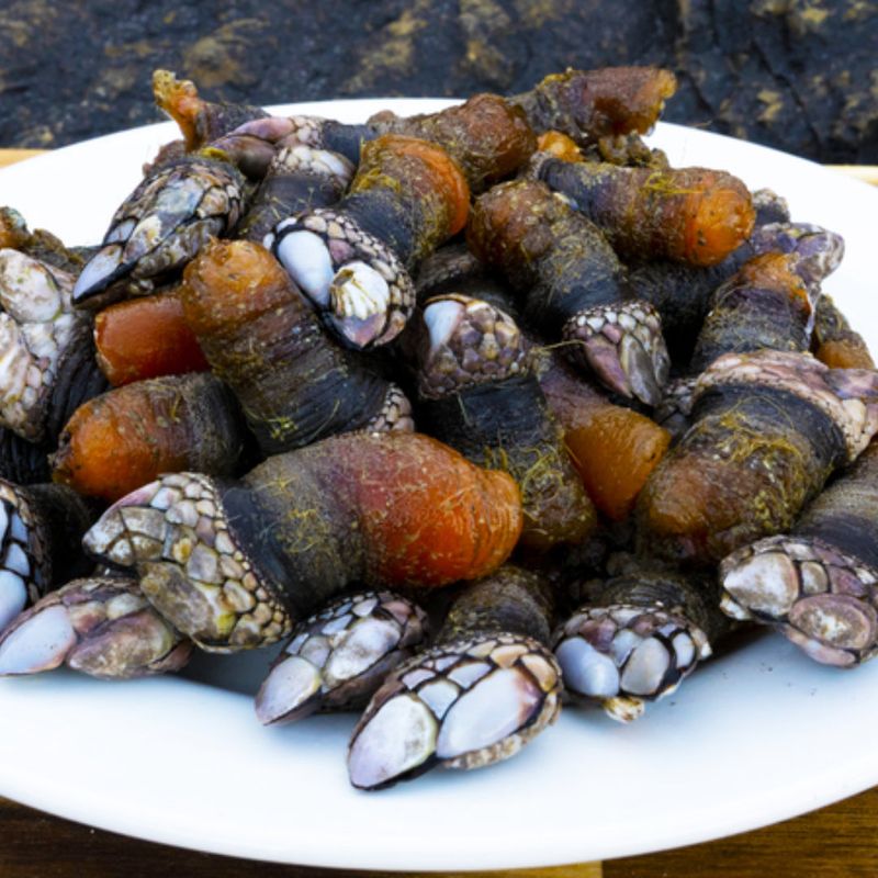 Percebes (Goose Barnacles)