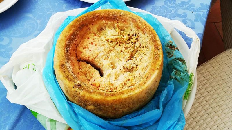 Casu Marzu Cheese