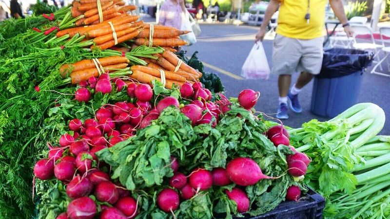 Pick Them Fresh in Season
