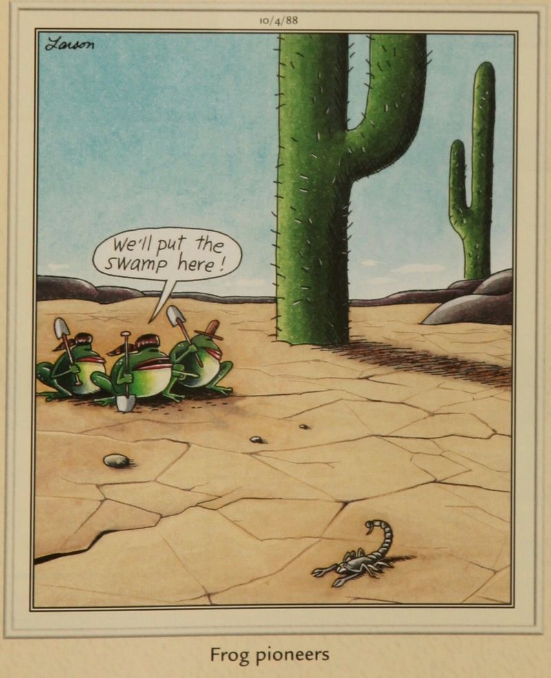 Frog Pioneers
