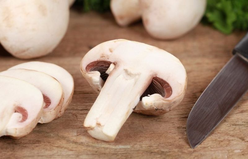 Mycophobia: Mushrooms Raise More Than Eyebrows