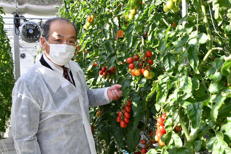 Gene-Edited Crops