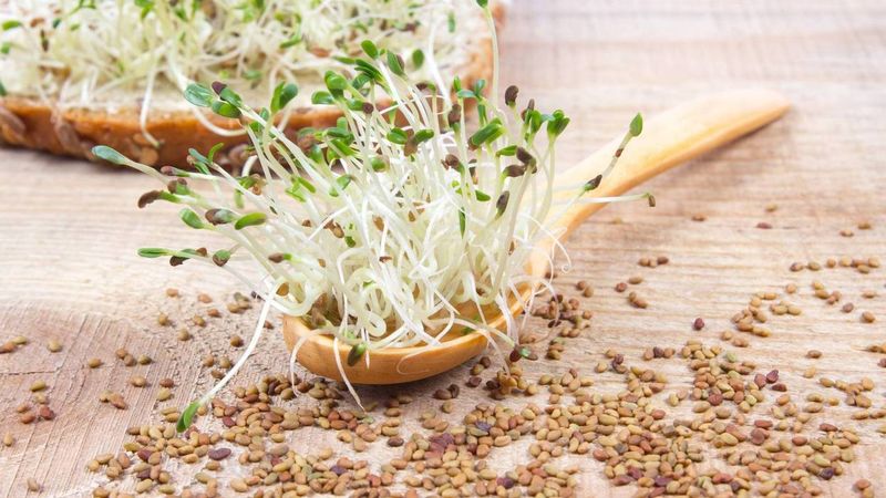 Sprouts