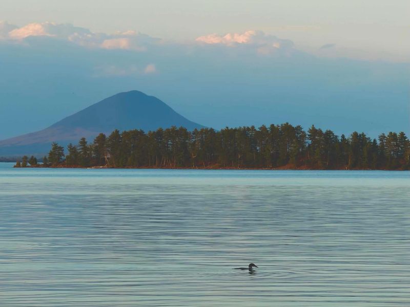 Greenville, Maine: Lake Views and Moose Country