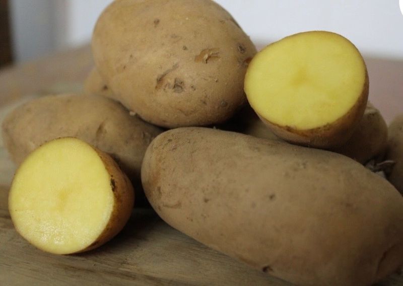 Nicola for Lower-Starch Meals