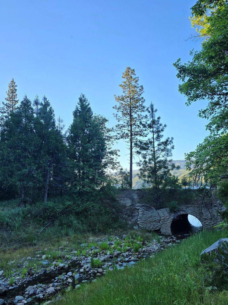 Oakhurst: A Welcoming Base for Yosemite