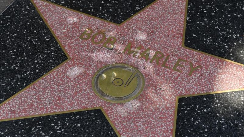 Bob Marley: A Costly Hammer Attack