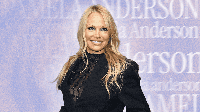 Pamela Anderson: Why the Count Needs Context