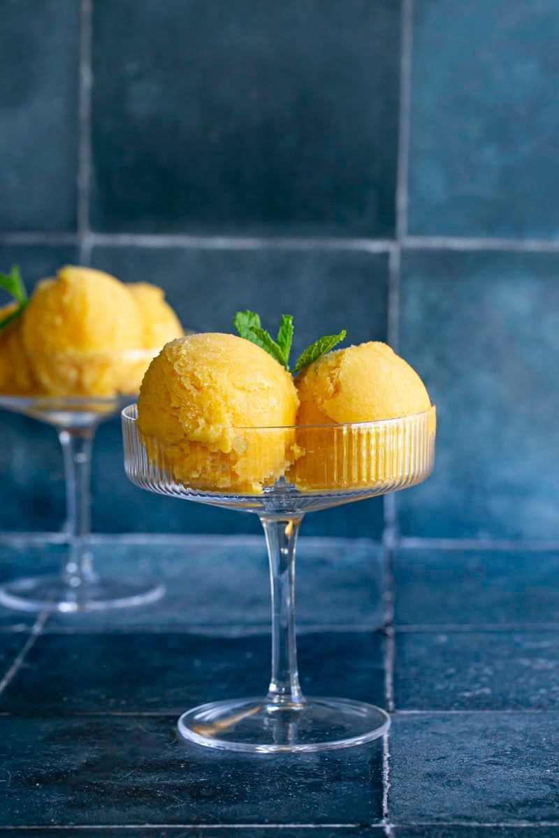 Homemade Fruit Sorbet
