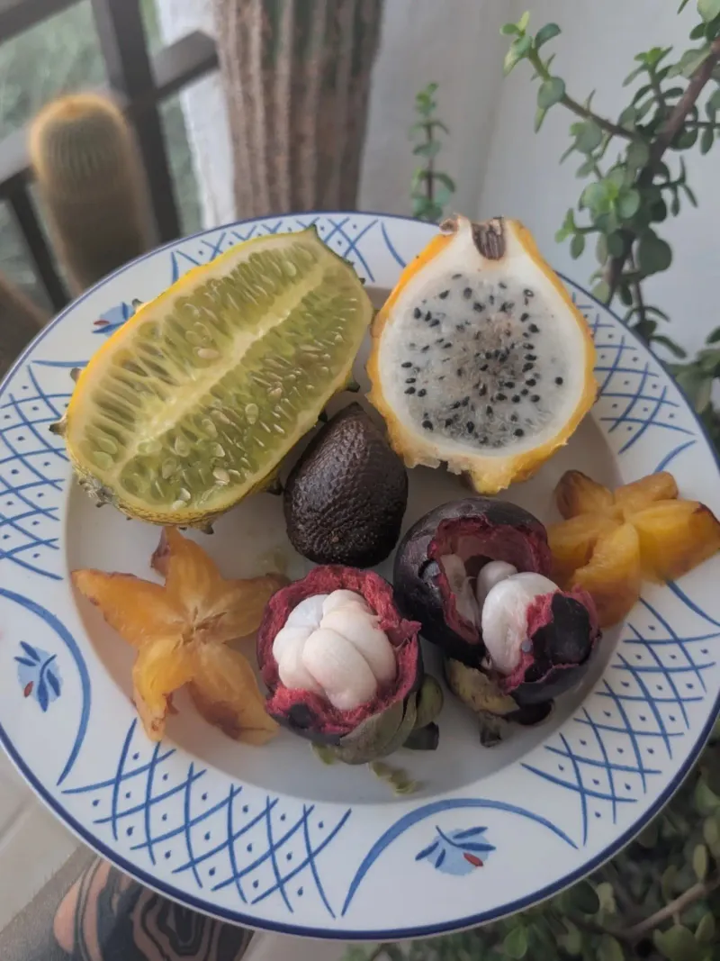 Try One New Fruit Each Week
