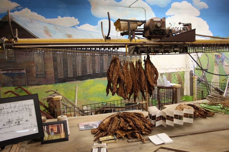 Havana: Tobacco History and Unexpected Finds
