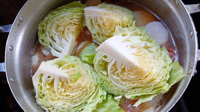 Cabbage