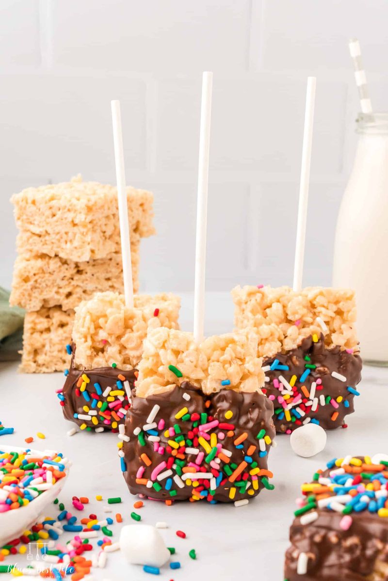 Chocolate Dipped Pops on a Stick