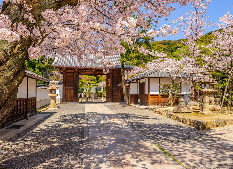 Japan: Old Traditions, New Discoveries