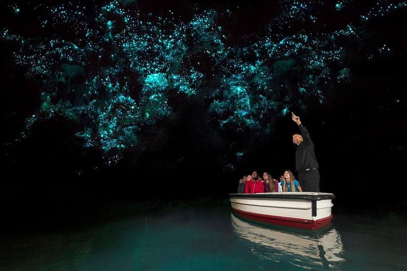 Waitomo Glowworm Caves, New Zealand