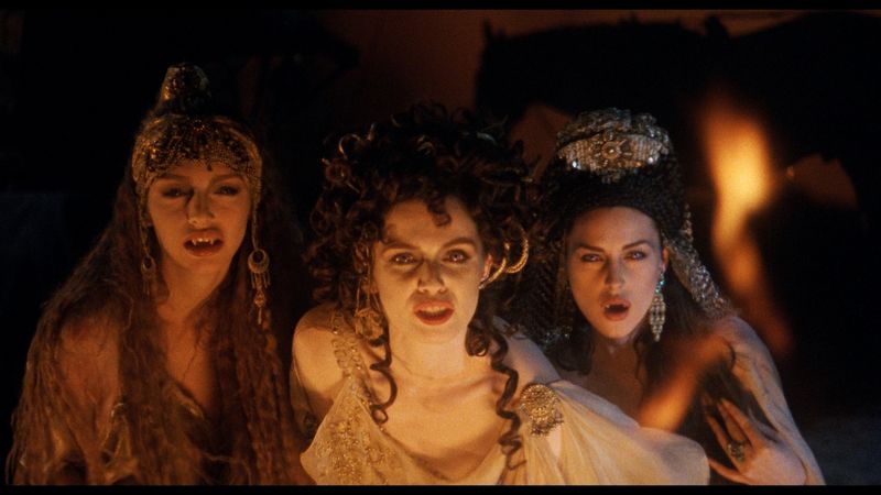 Dracula's Brides, the Castle's Shadows