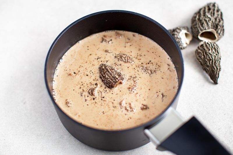 Morels: Spring's Hidden Treasure