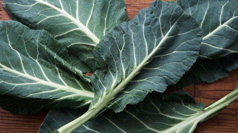 Collard Greens