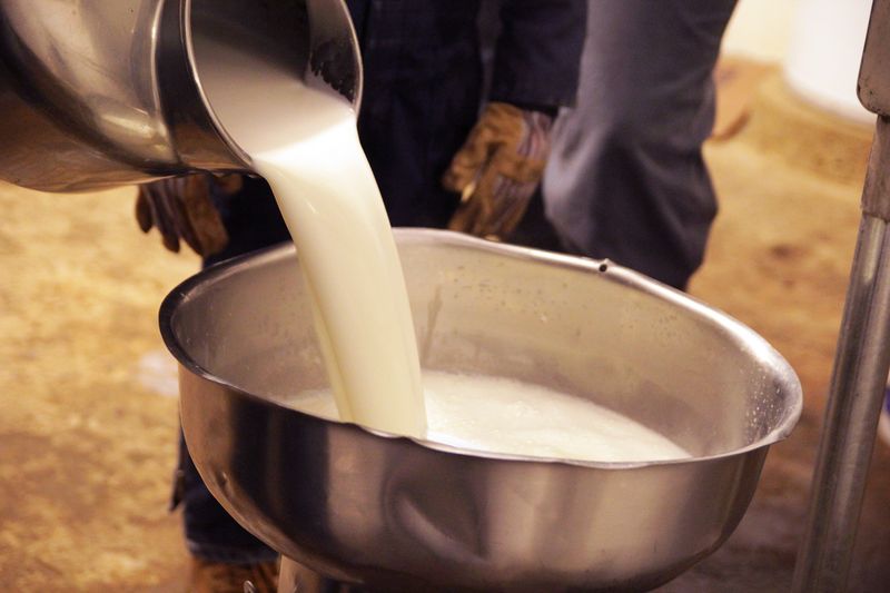 Raw Milk Rules