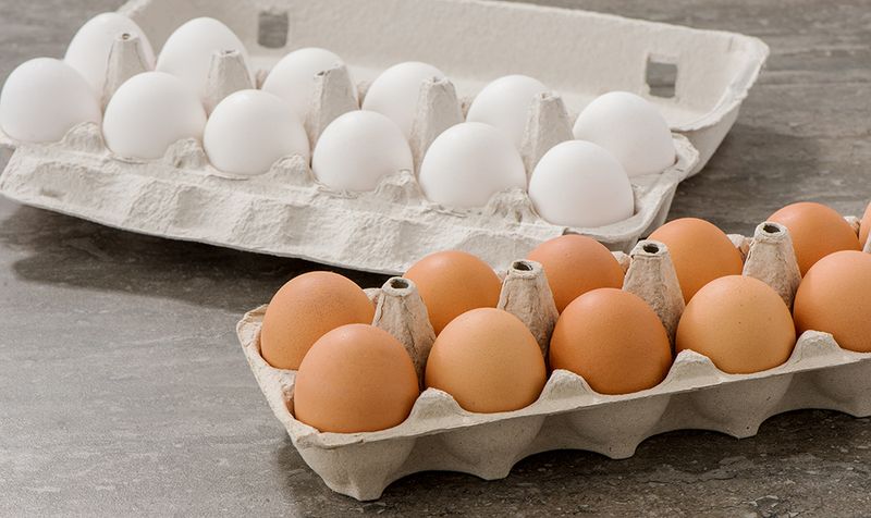 Brown Eggs or White Eggs