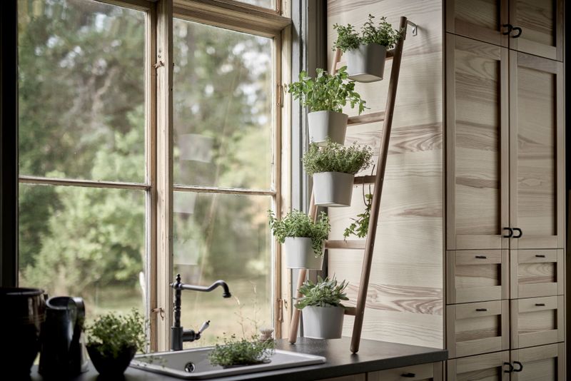 Growing Kitchen Herb Gardens