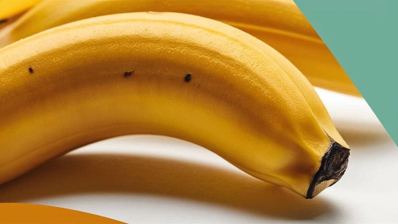 Bananas on Fancy Plates