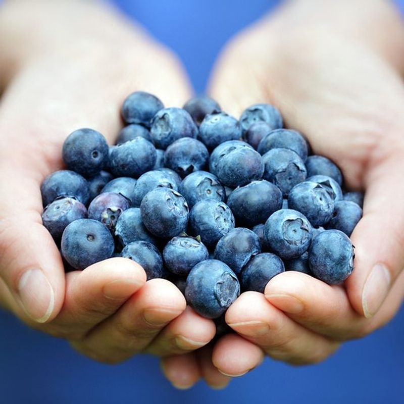 Blueberries by the Handful