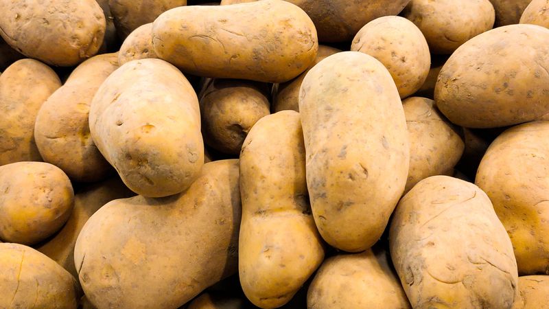 Potatoes and the Devil