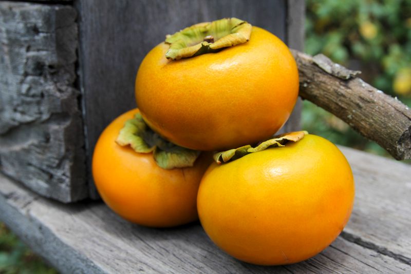 Sticky Persimmons