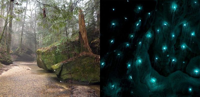 Dismals Canyon, Alabama: A Tiny Glow After Dark