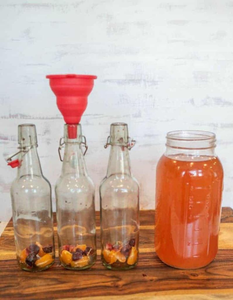 Brewing Homemade Kombucha and Kefir