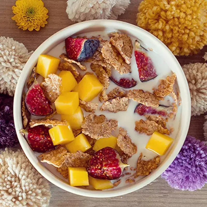 Nestle Fitness Flakes