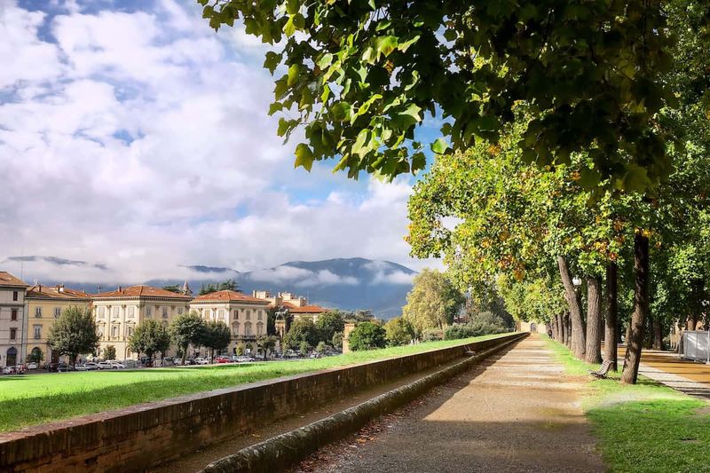 Lucca: A Walk Above the Streets