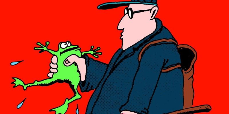 Dog Meets Frog